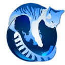 IceCat浏览器 冰猫浏览器